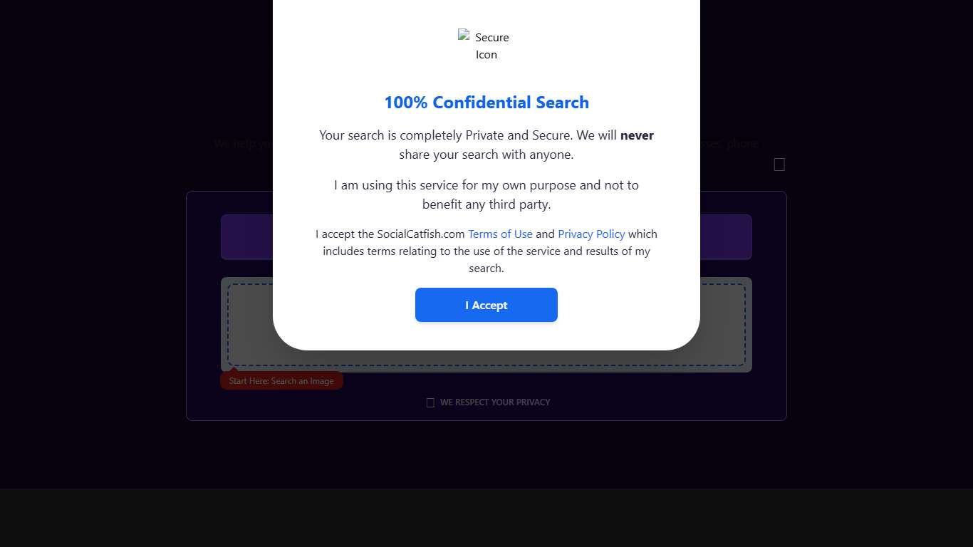 Reverse Image Search: Find People by Photo Social Catfish